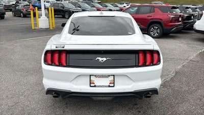 2022 Ford Mustang EcoBoost Premium Fastback