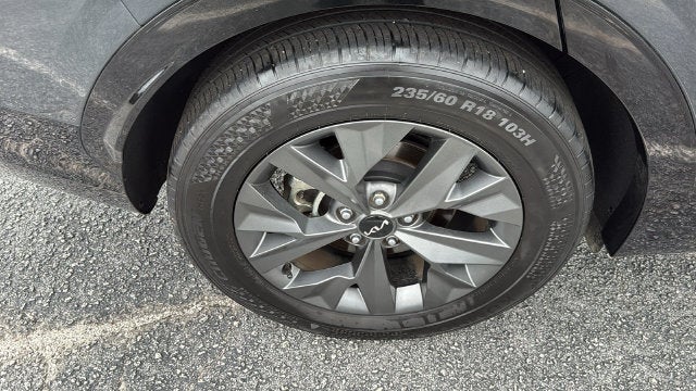 2024 Kia Sportage SX