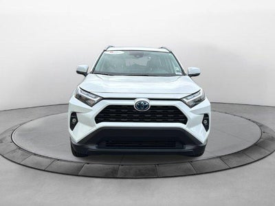 2023 Toyota RAV4 Hybrid XLE Premium